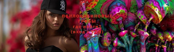 индика Пересвет