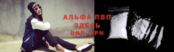 индика Пересвет