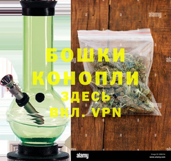 индика Пересвет