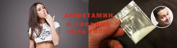 индика Пересвет