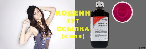 индика Пересвет