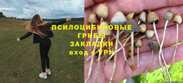 индика Пересвет