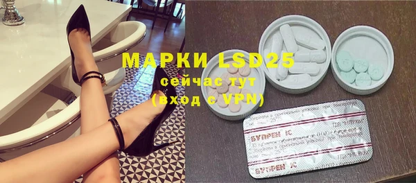 индика Пересвет