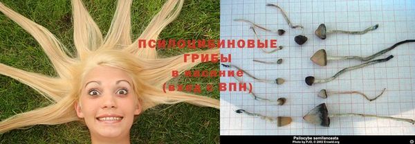 ALPHA-PVP Переславль-Залесский