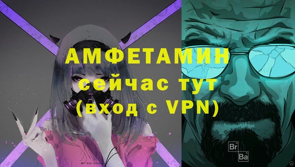 индика Пересвет