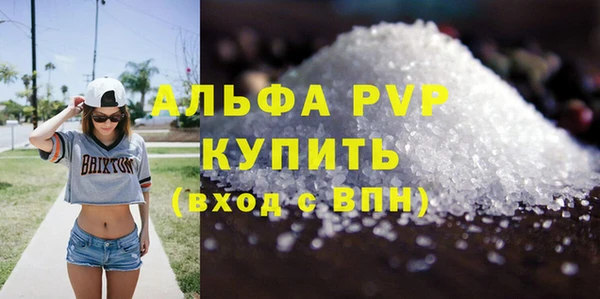 индика Пересвет
