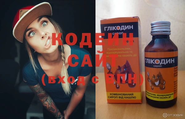 индика Пересвет