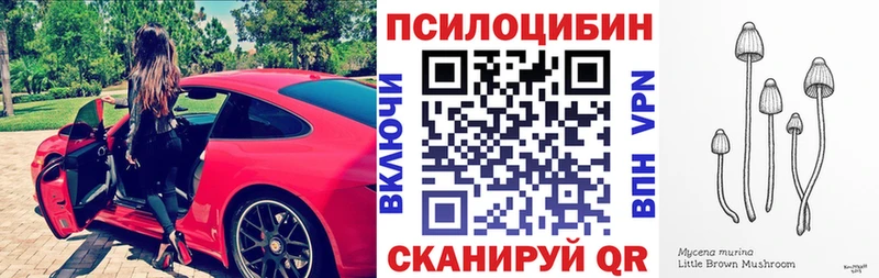 Галлюциногенные грибы Psilocybe  Бавлы 